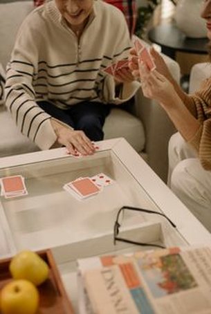 game dealer New88